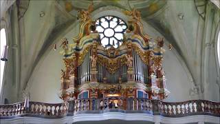 Orgelexkursion mit Domorganist Prof Franz Comploi [upl. by Naillimixam]