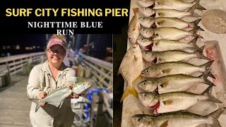 Surf City Fishing Pier Night Action  Topsail Island Fishing  North Carolina Saltwater Fishing [upl. by Shakespeare420]