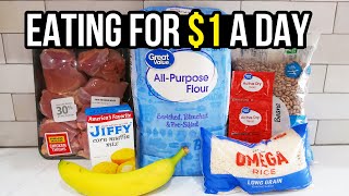 Eating for 1 a Day Cheap and Healthy Meal Ideas You Need to Try [upl. by Eisac563]