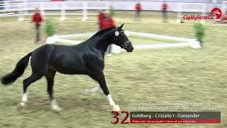 32 Junghengst v Goldberg  Cristallo I [upl. by Nelie]