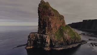 Scotlands North East coast  Duncansby Stacks Seals and Seabirds [upl. by Ahsieuqal]