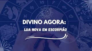 🌙🔮 LUA NOVA EM ESCORPIÃO [upl. by Mook]