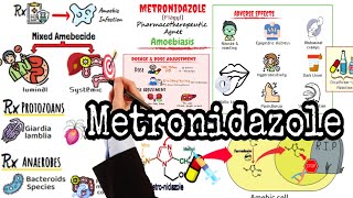 Metronidazole Flagyl Pharmacology  Mechanism of Action  Amebiasis Treatment [upl. by Shantha]