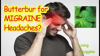 Butterbur for Headaches What You Need to know [upl. by Yoo8]