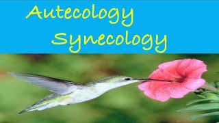 Autoecology  Synecology  Example  CSIR NET  Ecology lifescience biology science csirnet [upl. by Nnalorac]