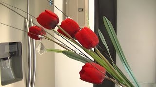 DIY Arreglo Floral con Tulipanes Rojos [upl. by Nagey539]