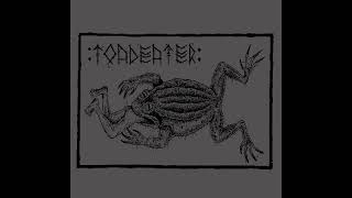 Toadeater  Demo 2018  Blackened Hardcore Punk [upl. by Ielhsa]