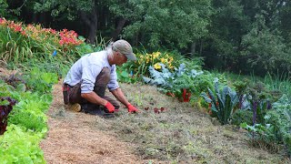 The GrassFed Market Garden No Water No Weeds No Tilling [upl. by Fortin]