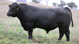 Lot 25 RSP22T78 Tivoli 2024 [upl. by Dixie]