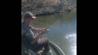 That a big one bass fishing Prineville reservoir smallmouth bassfishingnation smallies [upl. by Eitten]