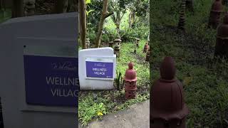 Peaceful Retreat In The Philippines  Shanti Wellness Sanctuary [upl. by Swords]