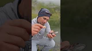 Un păstrăv frumos prins la carie de lemnartificială 😁pescuit pastrav fishing trout spinning [upl. by Dlorrej]