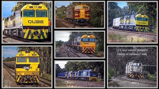 Trains At Menangle Park Part 2 [upl. by Aiuqenehs]