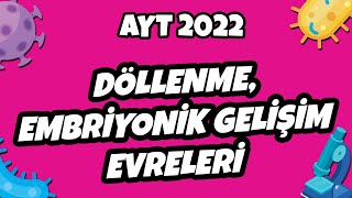 AYT Biyoloji  Döllenme Embriyonik Gelişim Evreleri  AYT Biyoloji 2022 hedefekoş [upl. by Layod]