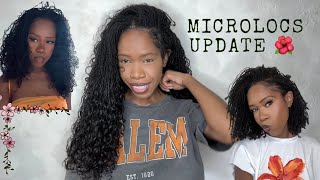 Microlocs Update 🧡 Catching Up On My Mircoloc Journey [upl. by Ellehcsor535]