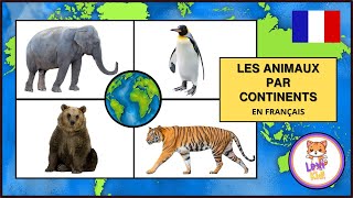 LES ANIMAUX PAR CONTINENTS  Les noms et bruits pour les enfants [upl. by Ehrman434]