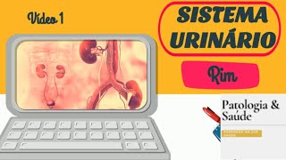 Histologia do sistema urinário  Rins [upl. by Htiekel]