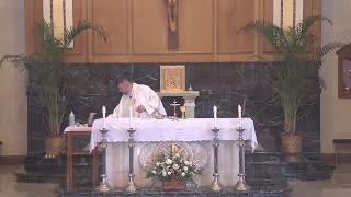 St Petronille LiveStream Mass Friday  Nov 1 2024 All Saints Day [upl. by Oderfigis]