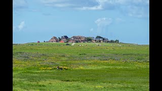 Hallig Hooge Juli 2024 [upl. by Reamy]