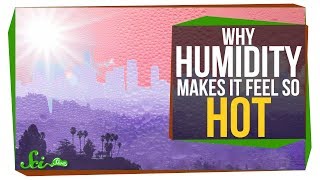 Why Does Humidity Make It Feel Hotter [upl. by Weber]