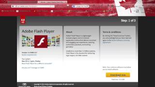 How to get Adobe Flash Player for Mac NEW UPDATED TUTORIAL ON SCREEN [upl. by Montano]