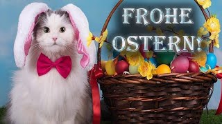 Lustige Ostergrüße für WhatsApp  Freue Ostern Video zum verschicken [upl. by Vashtee]