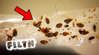 UK Bed Bug Infestation  Pest Control Pete Emergency Call  Filth [upl. by Roch]