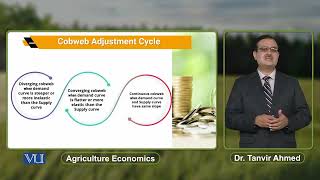 Cobweb Adjustment Cycle  Agricultural Economics  ECO608Topic112 [upl. by Darrel]