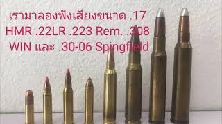 EP13 เสียงกระสุน Rimfire Rifle VS Centerfire Rifle [upl. by Ahsemik]