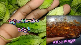 చిట్టి కాకరకాయ పచ్చడి 😋Bitter gourd pickle village  trending viralAdra vlogs [upl. by Mazonson234]