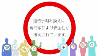 遺伝子組み換え作物は専門家により安全性が確認されています [upl. by Namar]