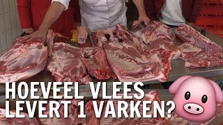 Hoeveel vlees levert 1 varken  De Buitendienst over varkens [upl. by Cristionna21]