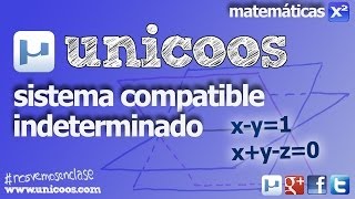 Sistema Compatible Indeterminado SCI 01 BACHILLERATO matematicas [upl. by Yatnuahs681]