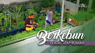 Berkebun di Atas Atap Rumah  Bumiku Satu Part 1 [upl. by Dahs153]