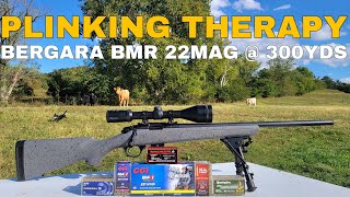 Bergara BMR 22WMR at 300 Yards Plinking Therapy 3 [upl. by Ayahc]