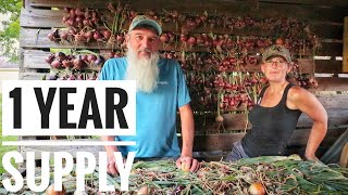 MY BIGGEST ONION HARVEST  Curing Process [upl. by Letnwahs]