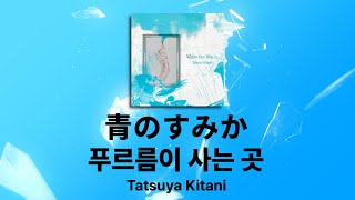 JPOP 🌇노래가 그냥 청춘 그 자체네ㅣ키타니 타츠야Tatsuya Kitani  푸르름이 사는 곳青のすみか 가사 발음한글 자막해석 [upl. by Negaet39]