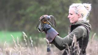 Greifvogelshooting in Thüringen 2015 [upl. by Tecu]