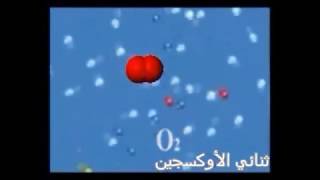 مكونات الهواء [upl. by Pendleton]