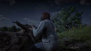 Marybeth and Seans Stage Coach Robbery  Side Mission  Red Dead Redemption 2 [upl. by Elleiand]