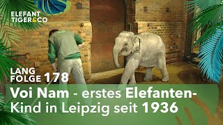 Rhani und ihre Familienbande Langfolge 178  Elefant Tiger amp Co  ARD [upl. by Siderf]