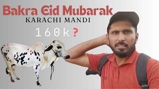 Last Day Cow Soda Malir Mandi 2024 vlog cattle marketeid [upl. by Karleen311]