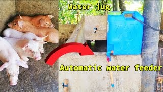 How to make Automathic water feeder for pig Use Water jug  Great idea [upl. by Lenni]