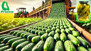 MillionTon Cucumber Harvesting Machines  How Pickles Are Made  Cucumber Pickle Processing Factory [upl. by Ducan]