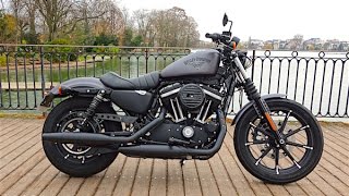 2016 Harley Davidson Sportster Iron 883  Noir désir  Essai vidéo [upl. by Jarid65]