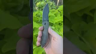 Kizer Pelican Mini [upl. by Theola]