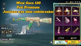 WOW GACA 120 PETI PREMIUM PUBG DAPAT AKM UPGRADE [upl. by Halladba]