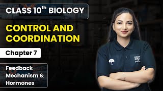 Control amp Coordination  Feedback Mechanism amp Hormones  Class 10 Biology Chapter 7 [upl. by Orual704]