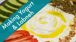 How to Make Yogurt and Labneh at Home [upl. by Yllac857]