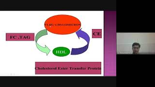 Lipoprotein Metabolism [upl. by Annayehc]